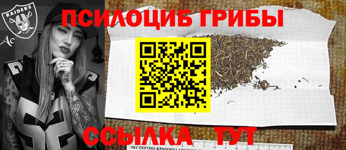 Галлюциногенные грибы GOLDEN TEACHER  Вход с VPN  Галлюциногенные грибы Psilocybe  наркотики  Майкоп 